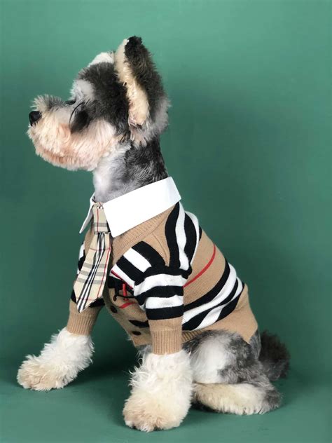 burberry dog clothes and accessories.